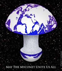 MyconetLockwood15