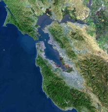 Bay