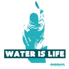 14124549_10105656509241943_9102081652799443635_o