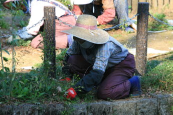 Gardeners working the soil
