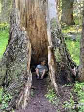 Renée Camila of La Yerba Buena Herbs
