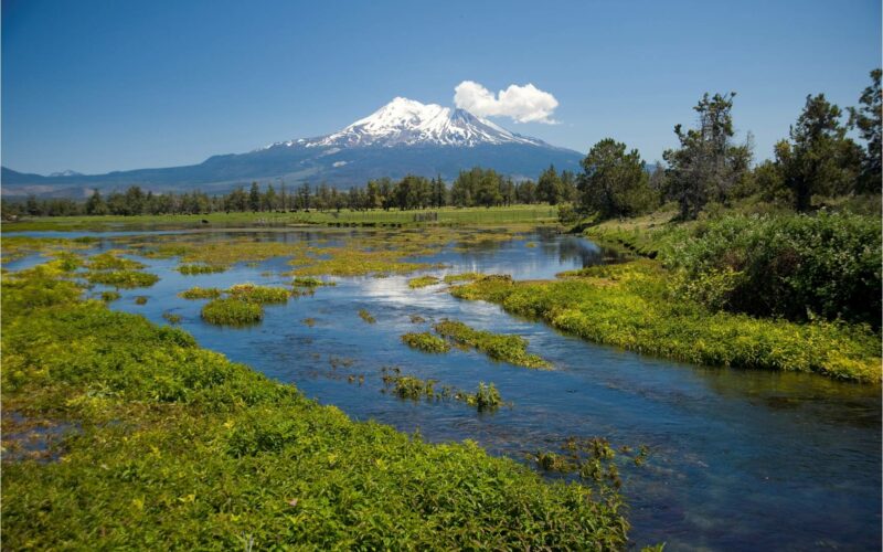 The Shasta River is an important spawning area for coho salmon. | Image by Walmart's Acres for America is licensed under CC BY 2.0