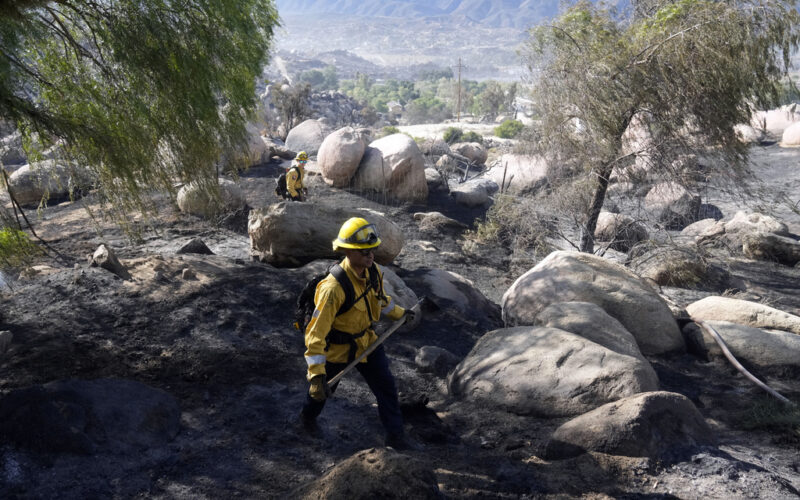 Members of the Jamul Fire Dept., out of San Diego County, look for hot spots while fighting the Highland Fire Tuesday, Oct. 31, 2023, in Aguanga, Calif. (AP Photo/Marcio Jose Sanchez)