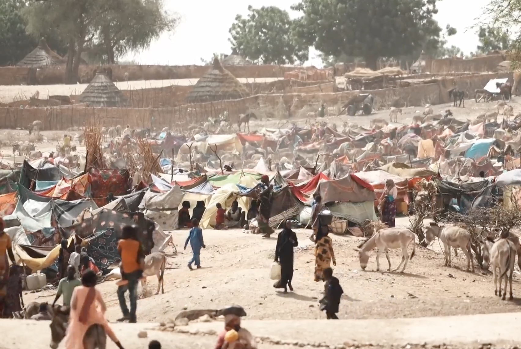 Sudanese refugee camp in Chad, 16 May 2023