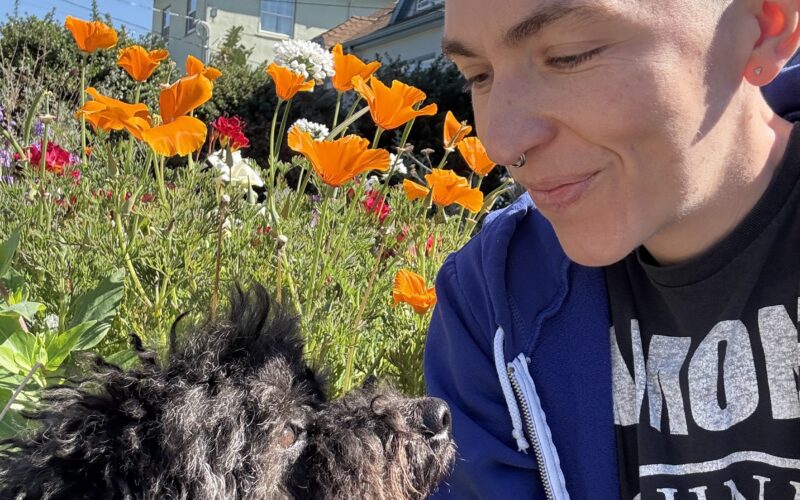 Emiliano with their poodles and a background of california poppies