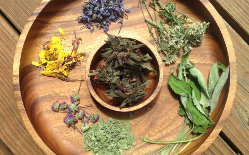 Herbal Broths with Renée Camila