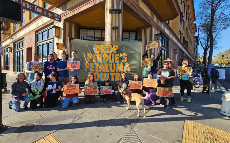 D.A.E Outside Trader Joe's Berkeley Credit to D.A.E.