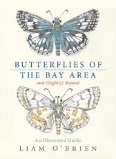 Cover of Butterflies of the Bay Area and (Slightly Beyond)