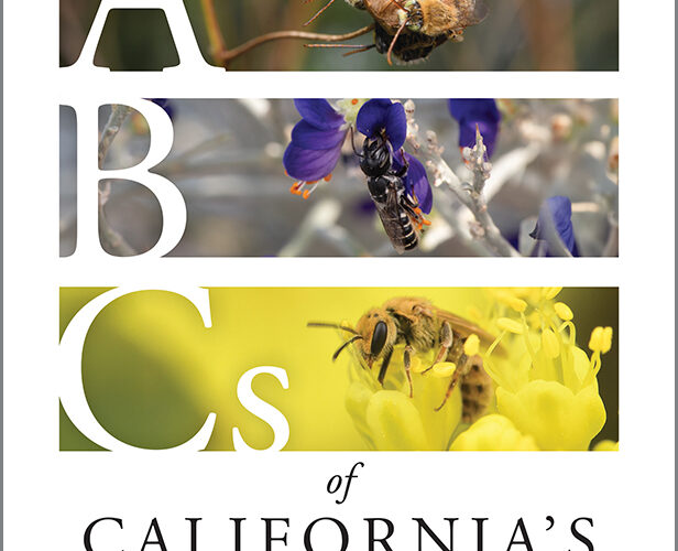The A B C's of California Bees - Cover