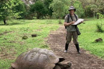 Joh Muir Laws stands in boots and a hat observing a great tortoise in front of him.