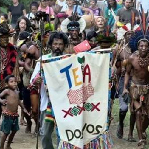 A picture of a march of various communities of people behind a Teia Dos Povos (Web Of The Peoples) banner