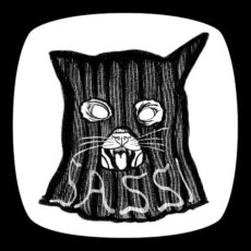 black and white drawing of a cat wearing a balaclava with the word "SASSI" near the bottom