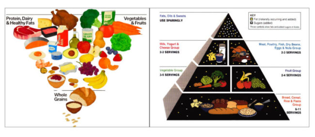 Dissecting RFK’s Meat-Heavy Food Pyramid
