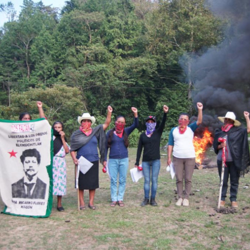 a photo of seven people standing in a field with masks over their faces, fists raised and a banner with a picture of Ricardo Flores Magon reading "Freedom For The Prisoners of Eloxochitlan de Flores Magon", standing before a bonfire with a forest behind them