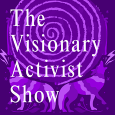 The Visionary Activist Show