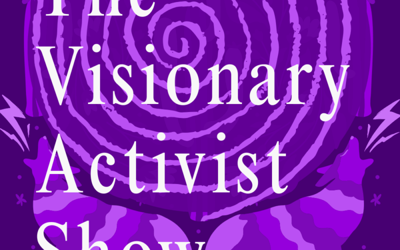 The Visionary Activist Show