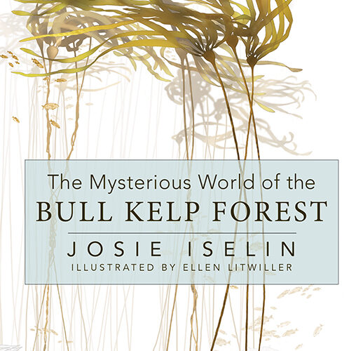 The Mysterious World of the Bull Kelp Forest - Cover