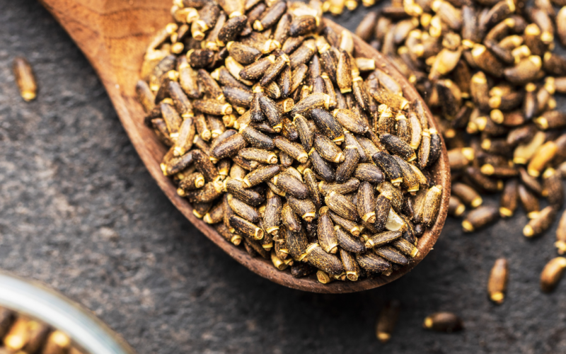 Herbs to protect and support the liver with Renée Camila