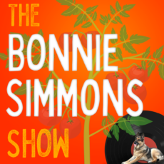 The Bonnie Simmons Show