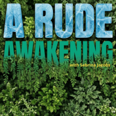 A Rude Awakening