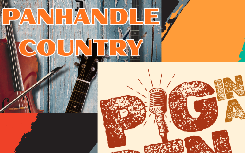 Panhandle Country / Pig in a Pen