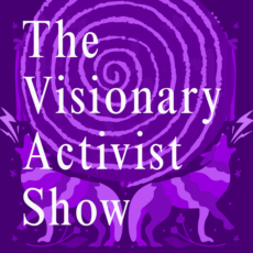 The Visionary Activist Show
