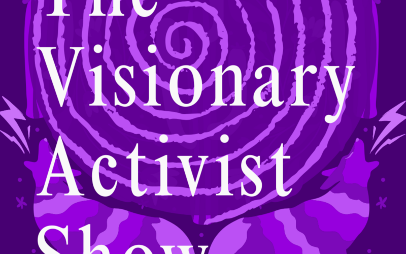 The Visionary Activist Show