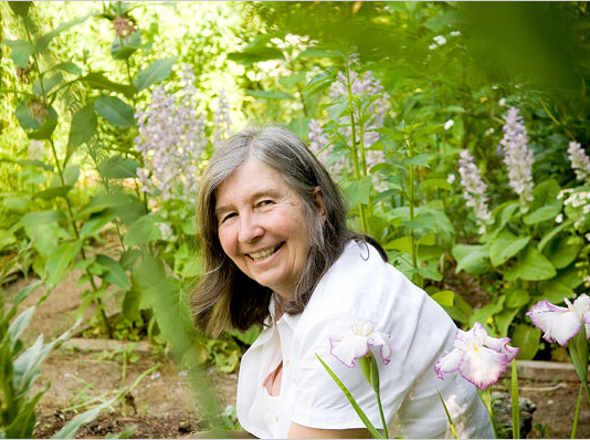 The Visionary Activist Show – Caroline hosts the wondrous cultivated and cultivating Diana Beresford-Kroeger