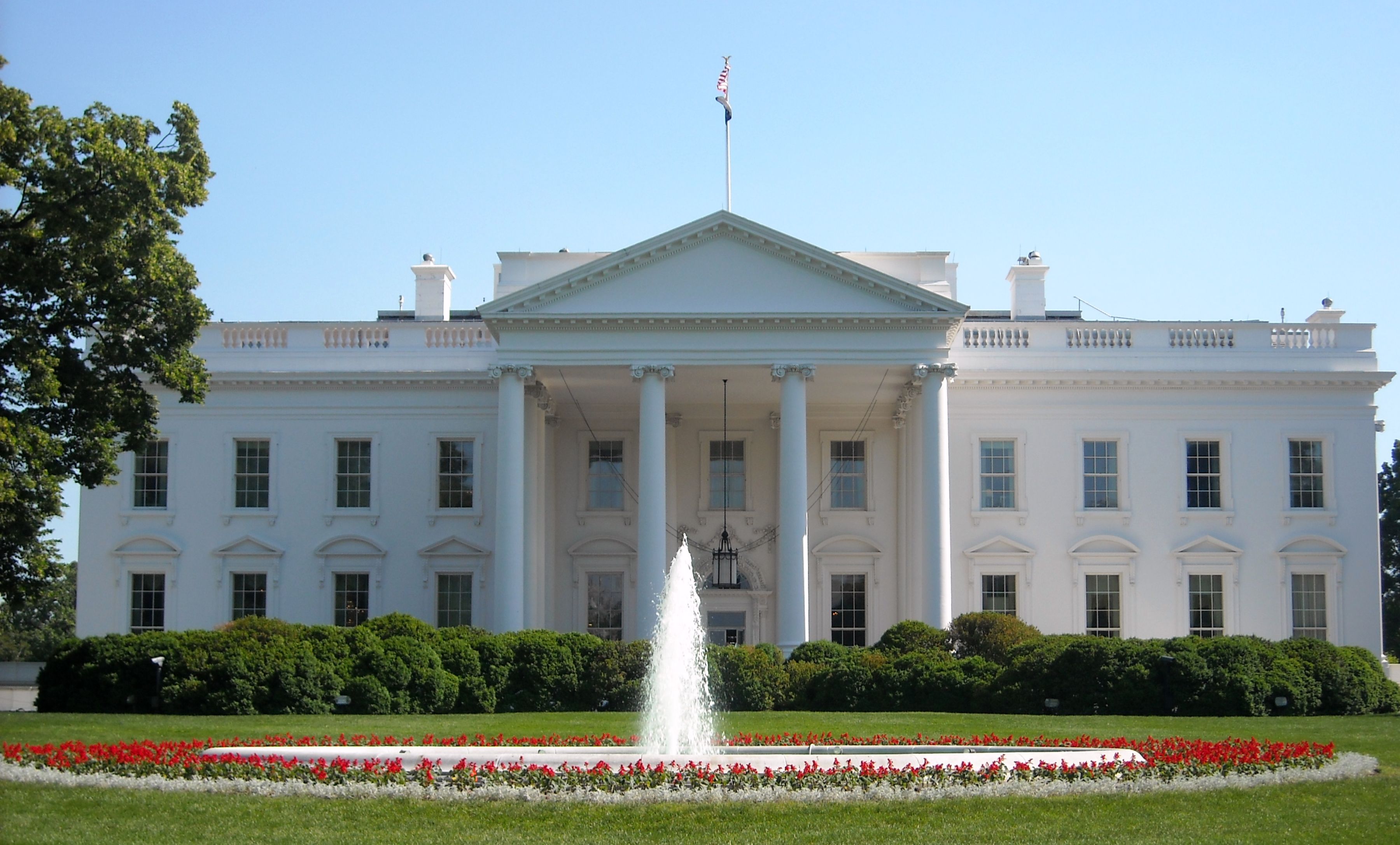 The white house