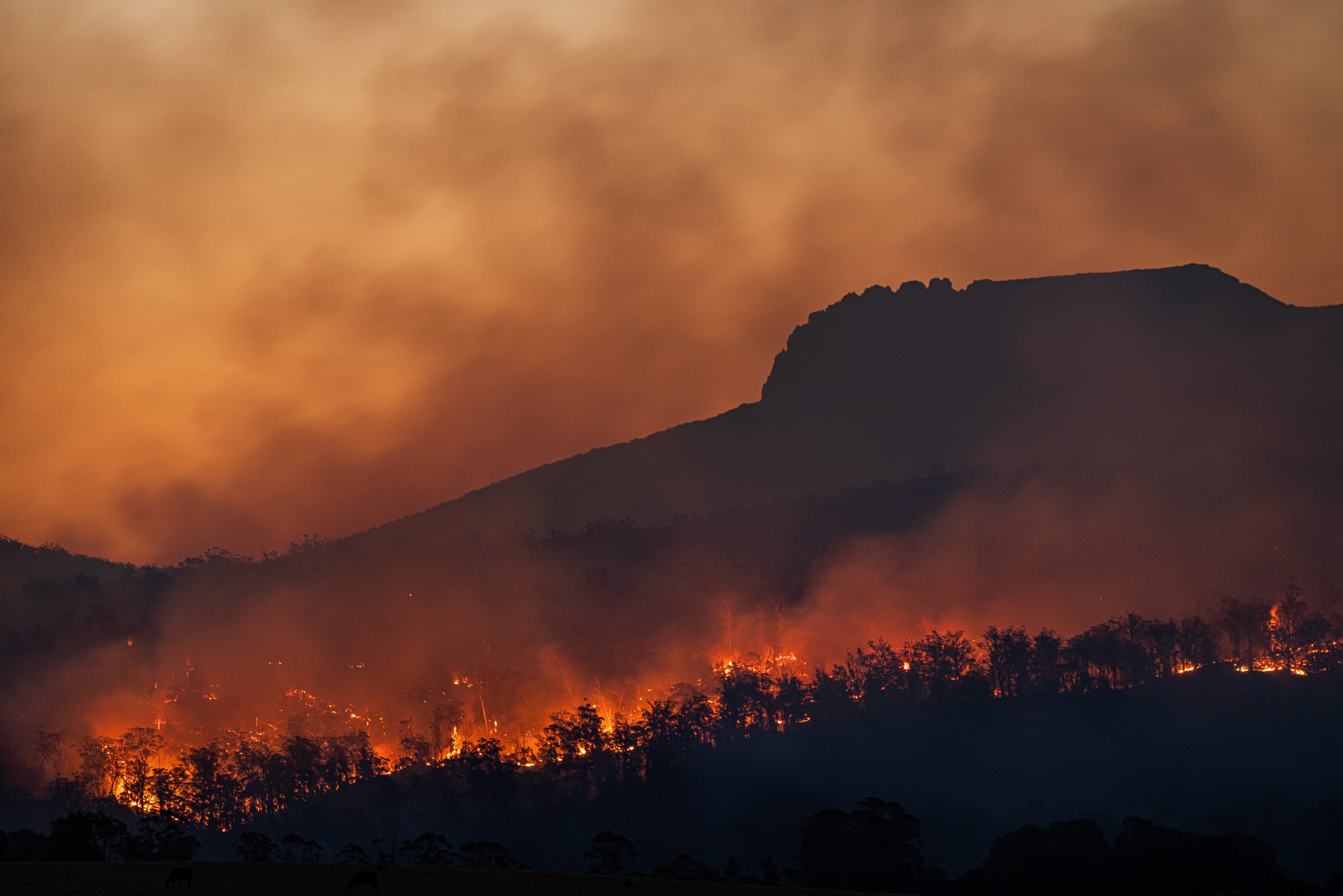 17th Century Climate Crisis