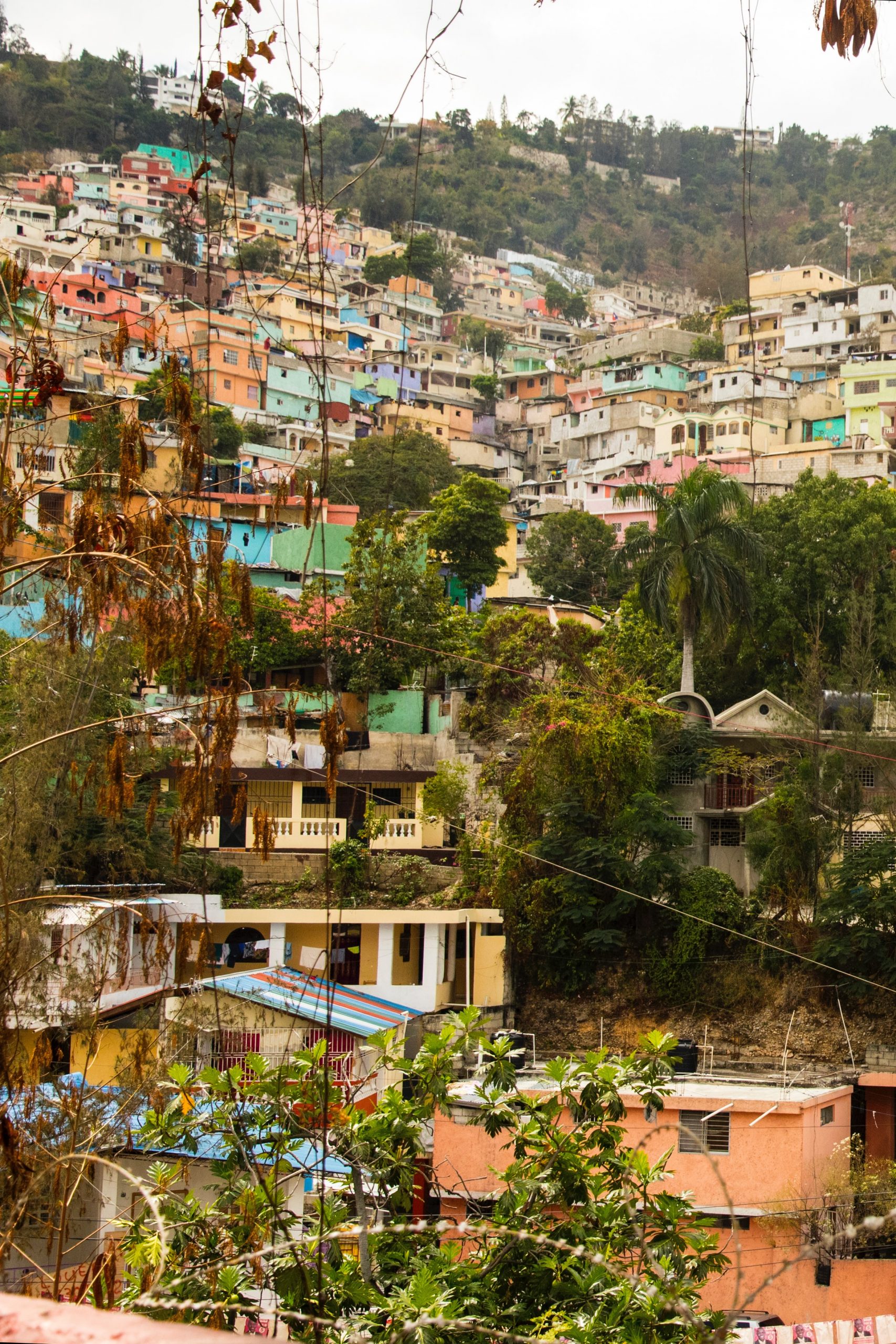 Haiti launched into martial law after President Jovenel Moise is assassinated; SFMUNI service slow to return; Meteorologist discusses deadly heat + drought; Plus the risks posed by human interventions