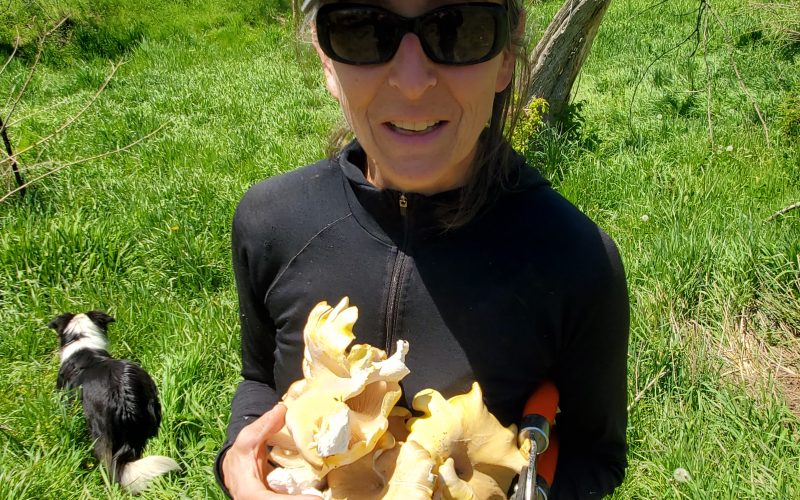 Beth Hoffman holding oyster mushrooms on her Iowa farm