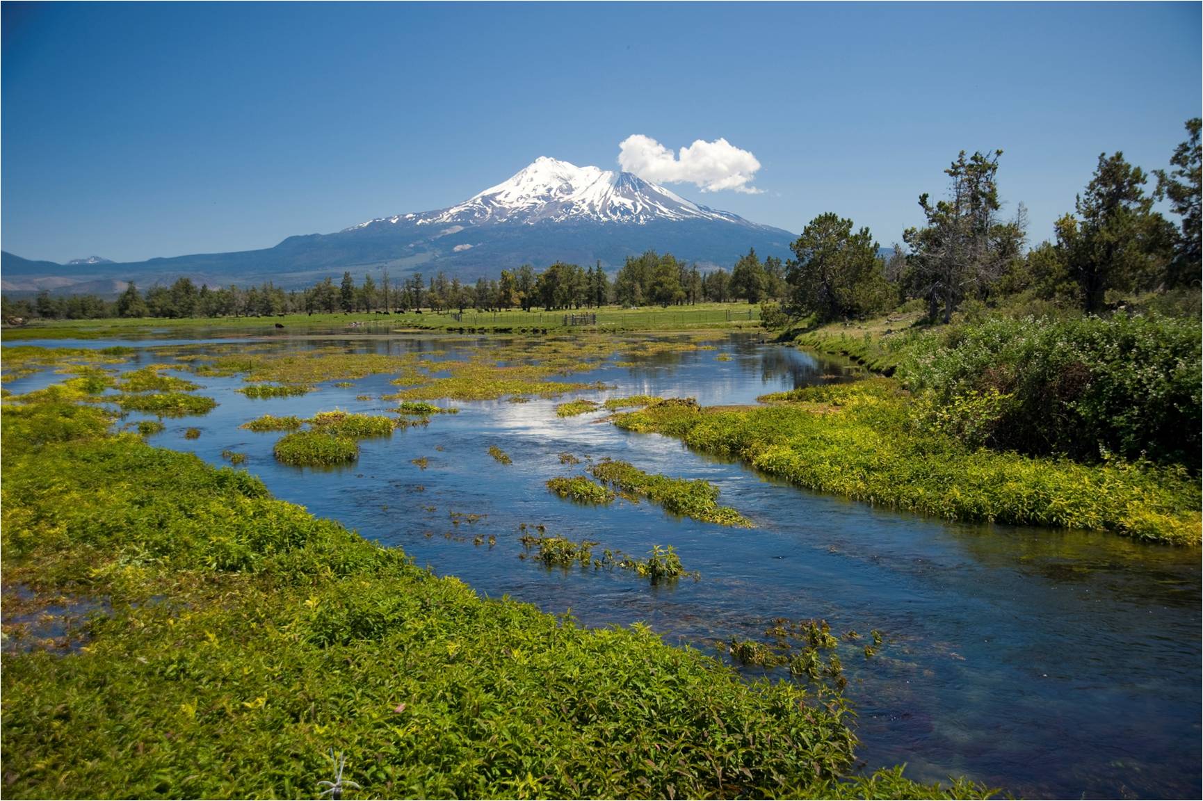 The Shasta River is an important spawning area for coho salmon. | Image by Walmart's Acres for America is licensed under CC BY 2.0