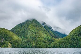 Forested mountains on Pooley Island rise above the sea, with clouds obscuring the tops of their peaks.