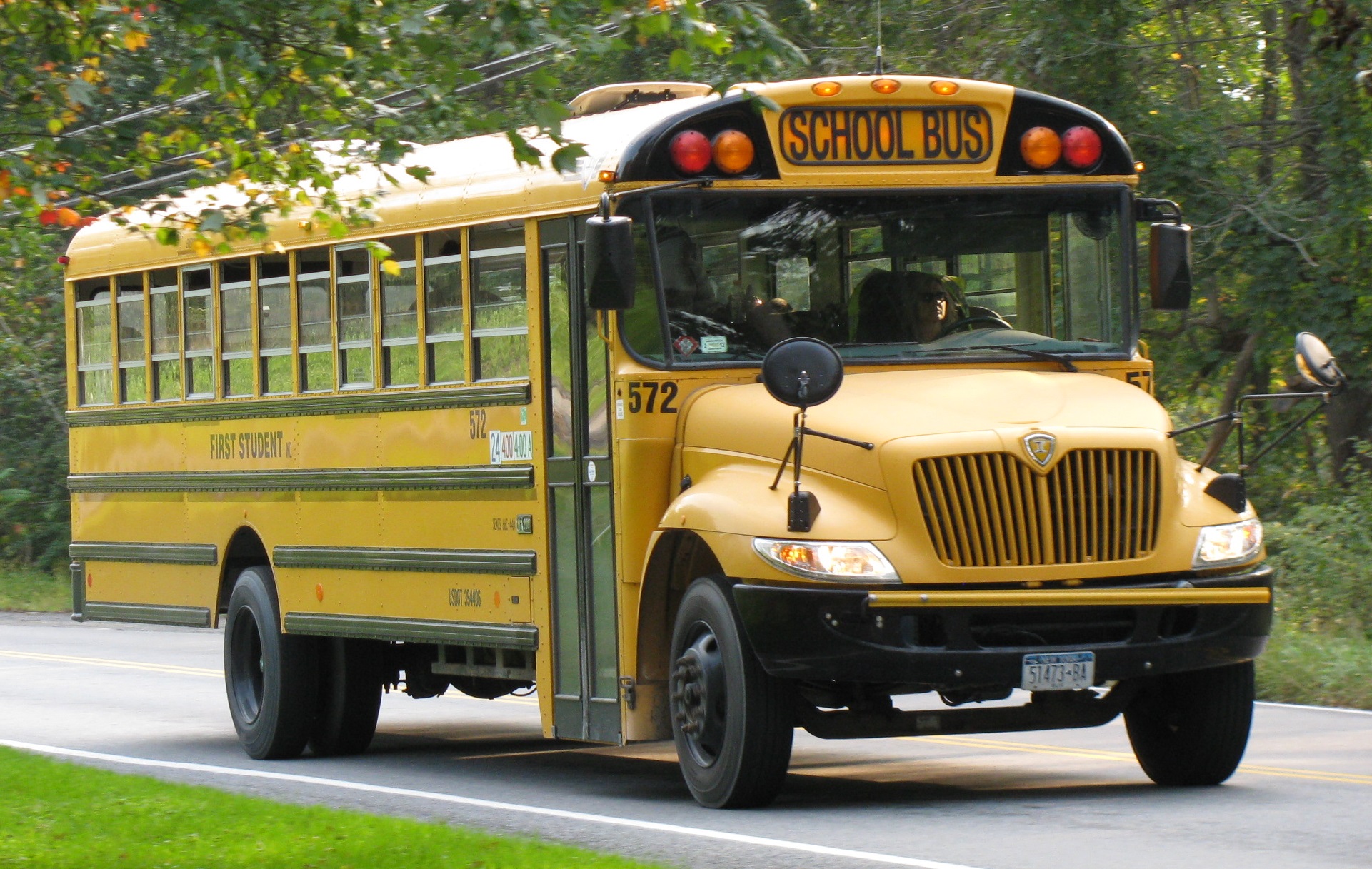 The Yellow School Bus