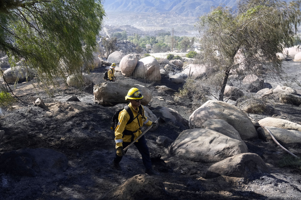 Members of the Jamul Fire Dept., out of San Diego County, look for hot spots while fighting the Highland Fire Tuesday, Oct. 31, 2023, in Aguanga, Calif. (AP Photo/Marcio Jose Sanchez)