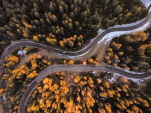 an aerial view of two roads slicing through a pine forest in early winter. There's traces of snow on the ground.