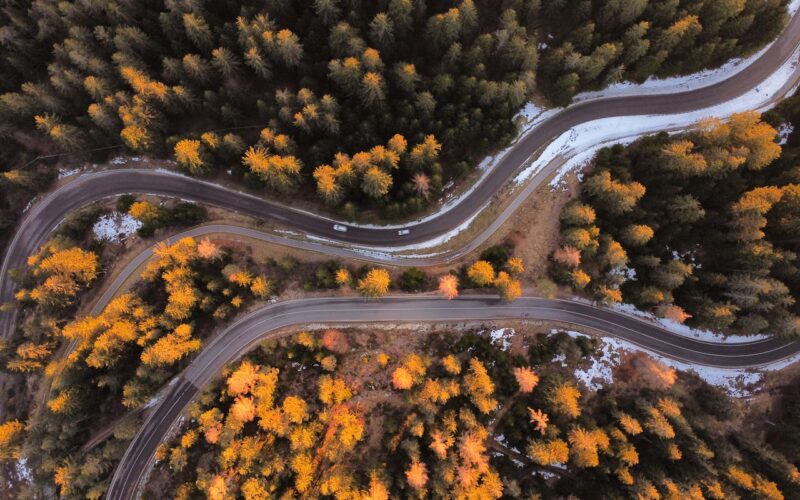 an aerial view of two roads slicing through a pine forest in early winter. There's traces of snow on the ground.