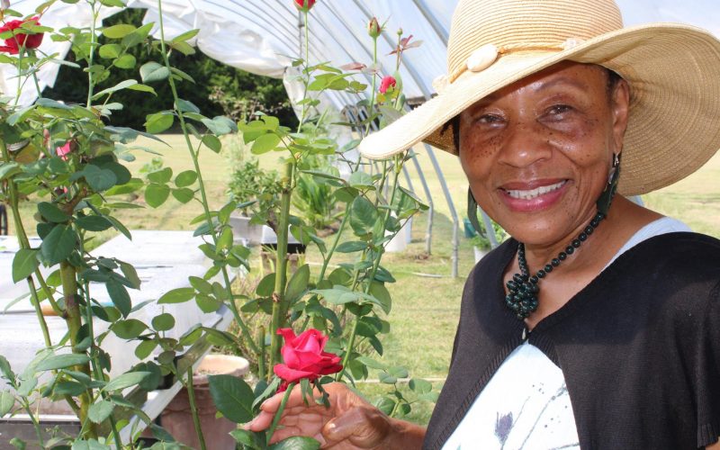 Black Herbalist Voices: Earcine Evans – February 20, 2024