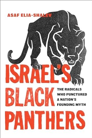 The Mizrahi: From the Black Panthers to Likud