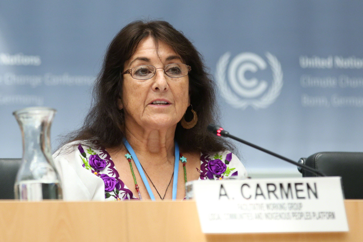 Andrea Carmen of Indian Treaty Council on Indigenous Global Rights