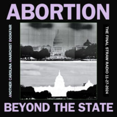 "Abortion Beyond The State" with two black and white images of the US capitol